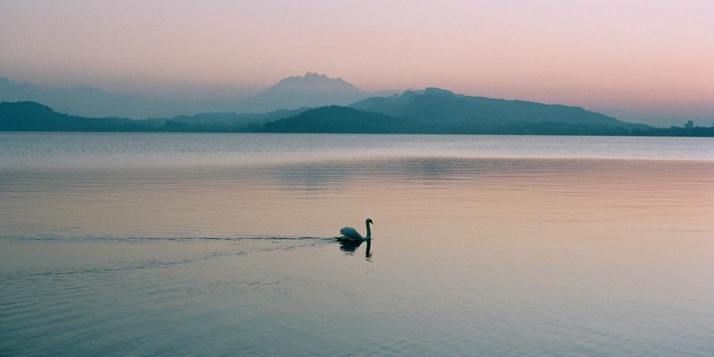 Zuger See at dusk — fiduciary services, Canton Zug, Switzerland